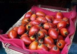 El tamarillo.