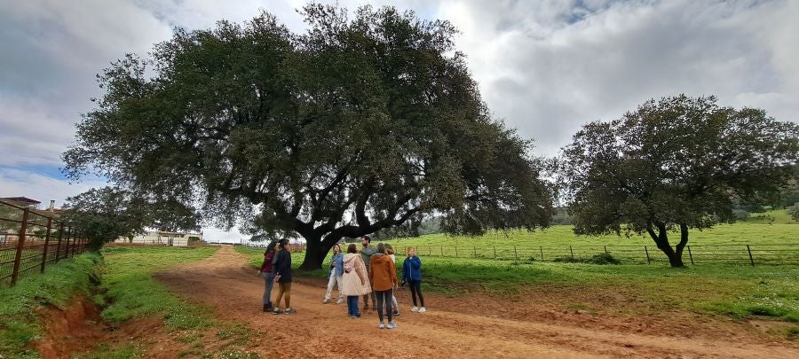 Malvana, un mirador a la Sierra de Gata