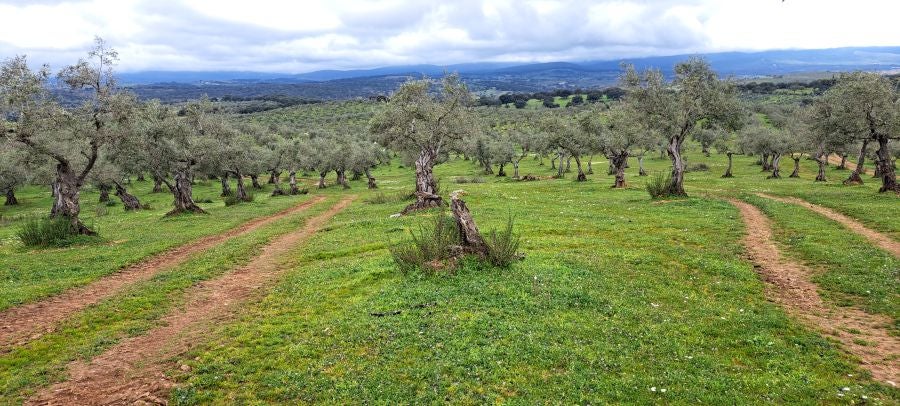 Malvana, un mirador a la Sierra de Gata