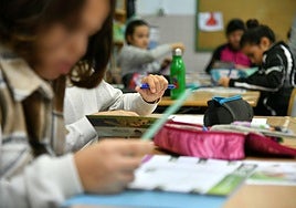 Euskadi es la segunda comunidad, tras Cataluña, con mayor segregación de alumnado de origen migrante