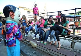 Añorga celebra desde mañana ocho días de fiestas del Carmen