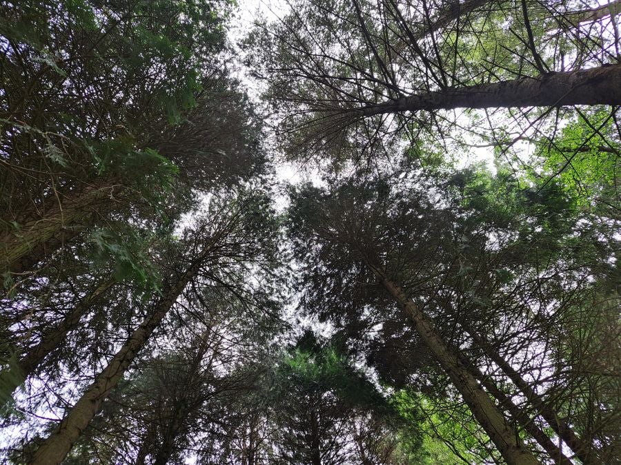 Paseo hasta la cima de Andatza