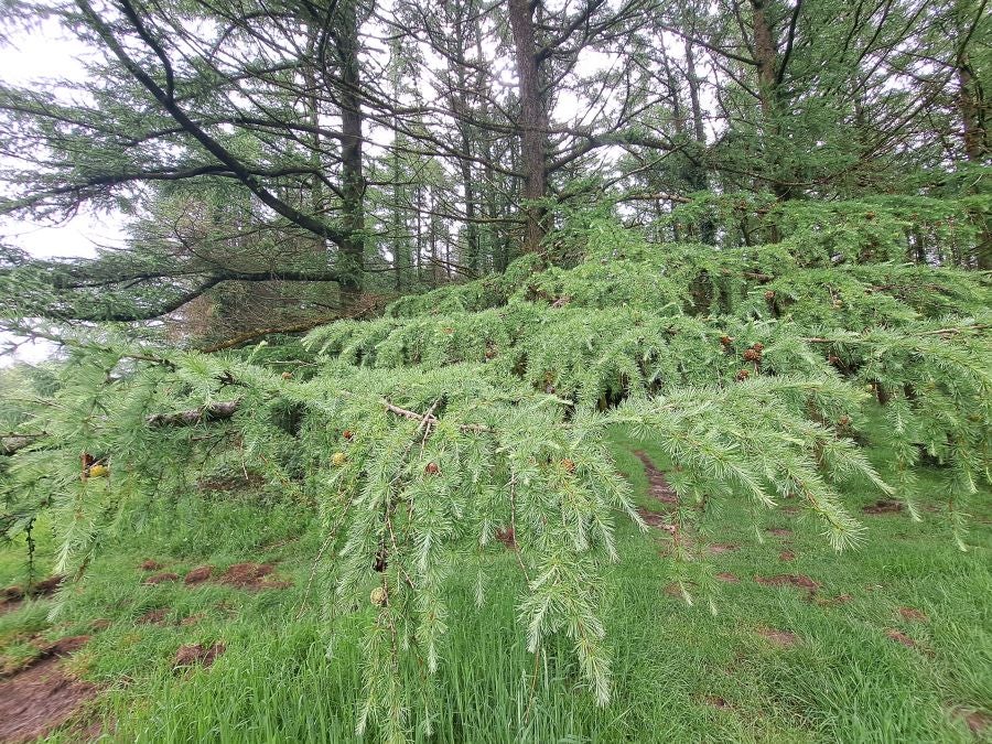 Paseo hasta la cima de Andatza