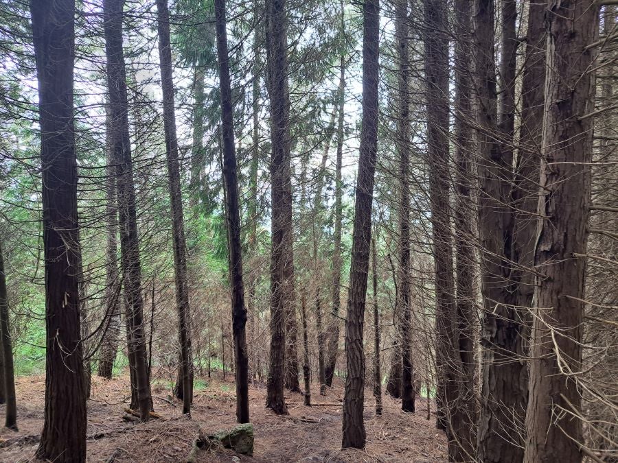 Paseo hasta la cima de Andatza