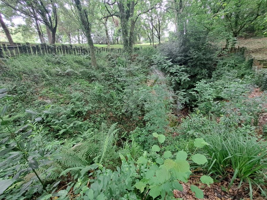 Paseo hasta la cima de Andatza