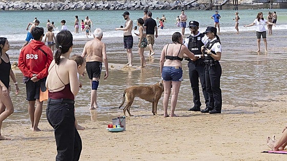 Los perros tienen prohibido el acceso a las playas durante el periodo estival