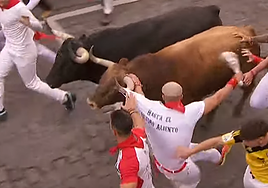 Uno de los toros de Domingo Hernández engancha de la camiseta al corredor albaceteño Alejandro Verdejo.