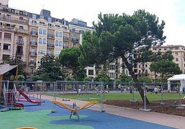 El gran pino ubicado en la plaza muestra una peligrosa inclinación.