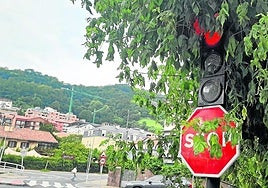 Avisa F. Frías, vecino de Gros, de que «en el cruce de la avenida de Navarra con Marino Tabuyo, justo en la rotonda, el semáforo de la derecha está semioculto por las tupidas ramas de un árbol. Parece lógico podarlas, aunque la señalización luminosa del lado izquierdo se vea perfectamente. No está de más asegurar la visión de la luz roja de parar».
