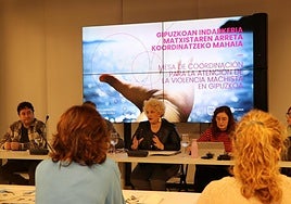 El plan foral contra la violencia machista detecta la necesidad de más expertos en salud mental