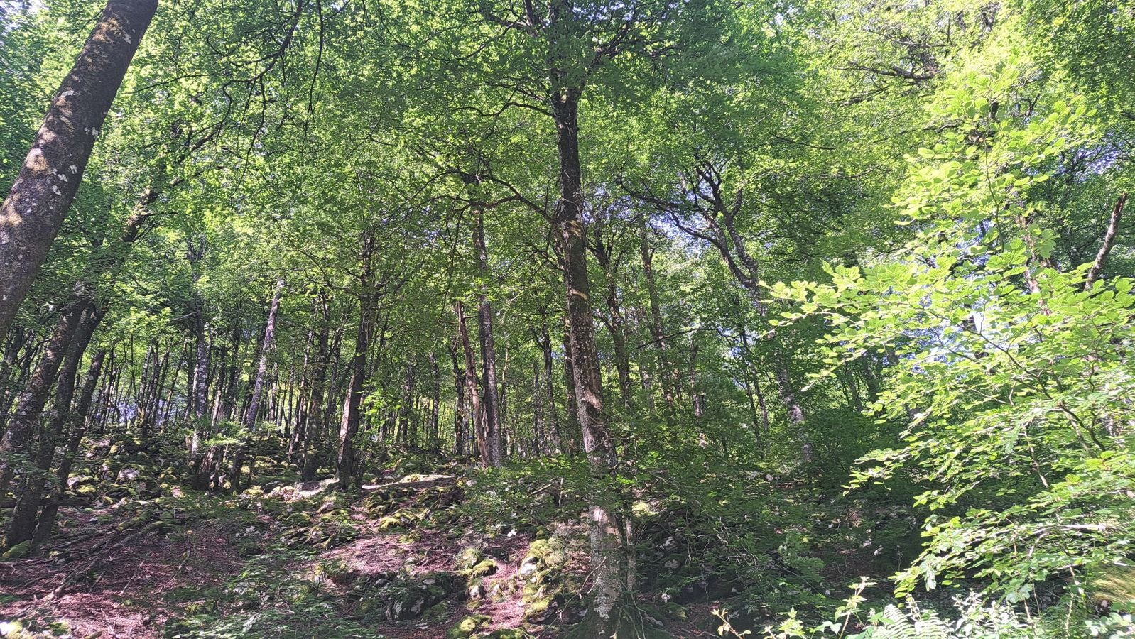 Magia y mitología en una de las bellezas naturales de Navarra