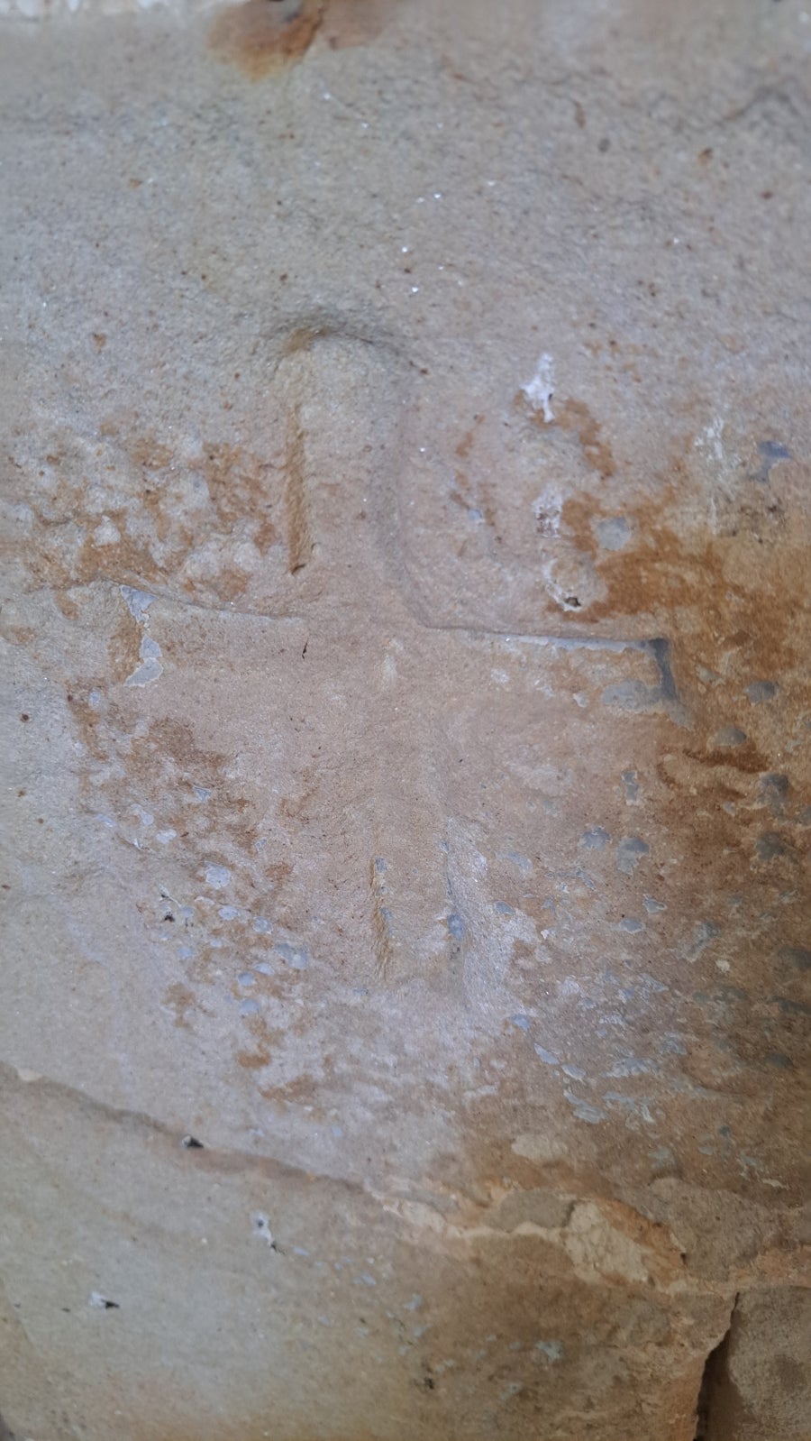 Udalatx, el gran escaparate de la muga