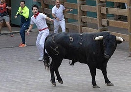 Jondi Díez, el tolosarra herido en el encierro de Tudela, en la imagen vestido de blanco y con el pañuelo y la faja roja.