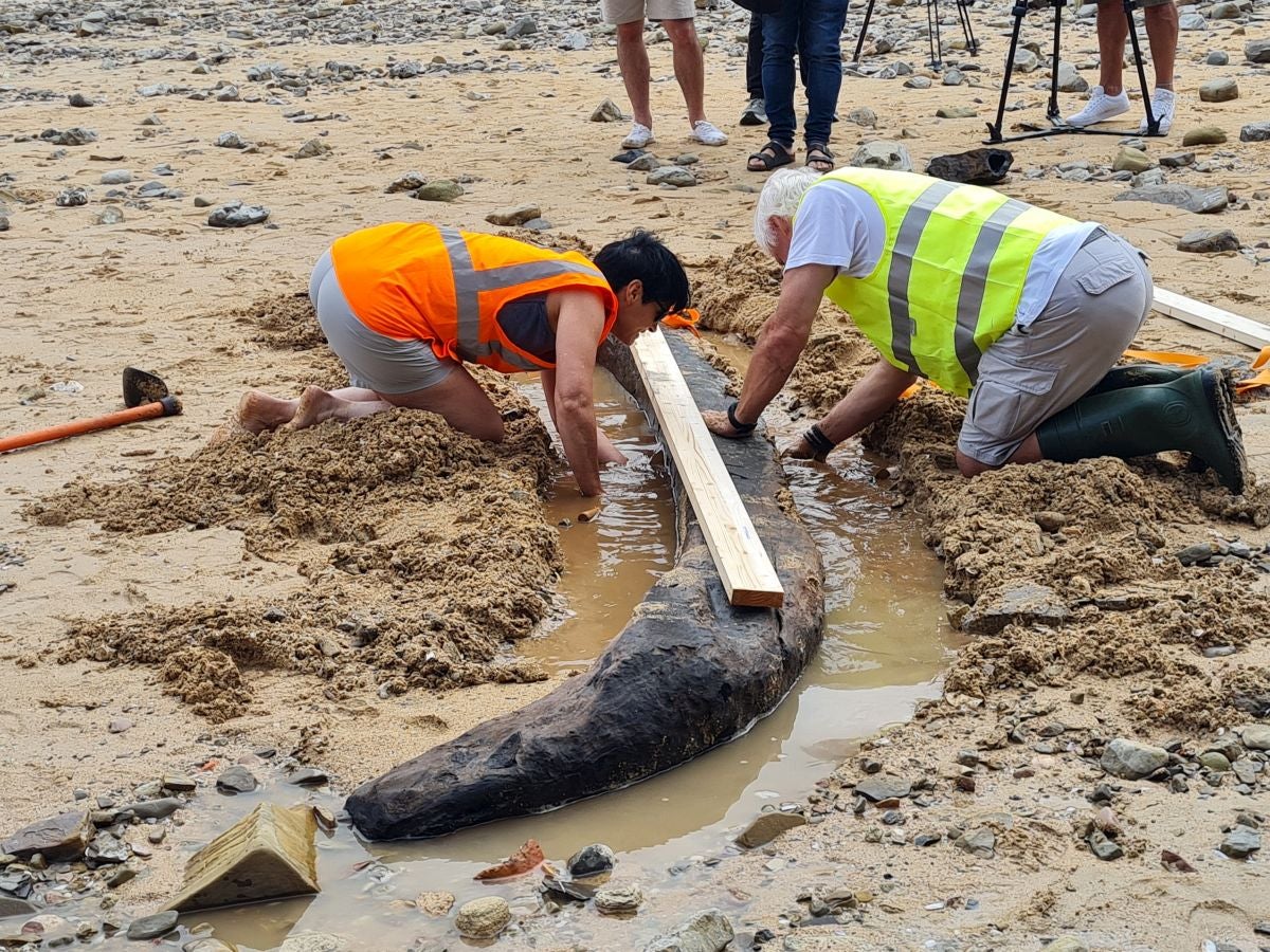 Un tesoro arqueológico al descubierto de los bañistas