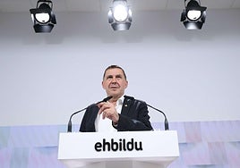 Otegi en rueda de prensa.