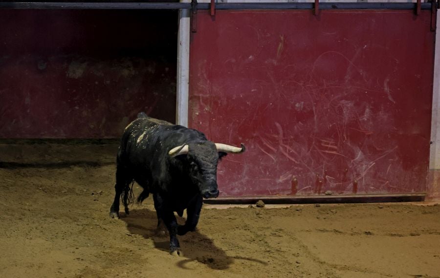 Los toros llegan a Illunbe