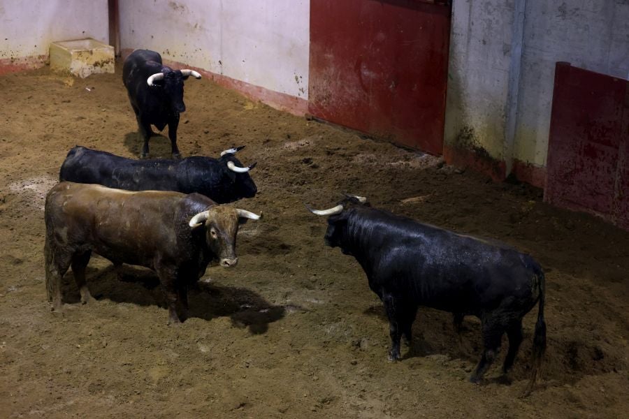 Los toros llegan a Illunbe