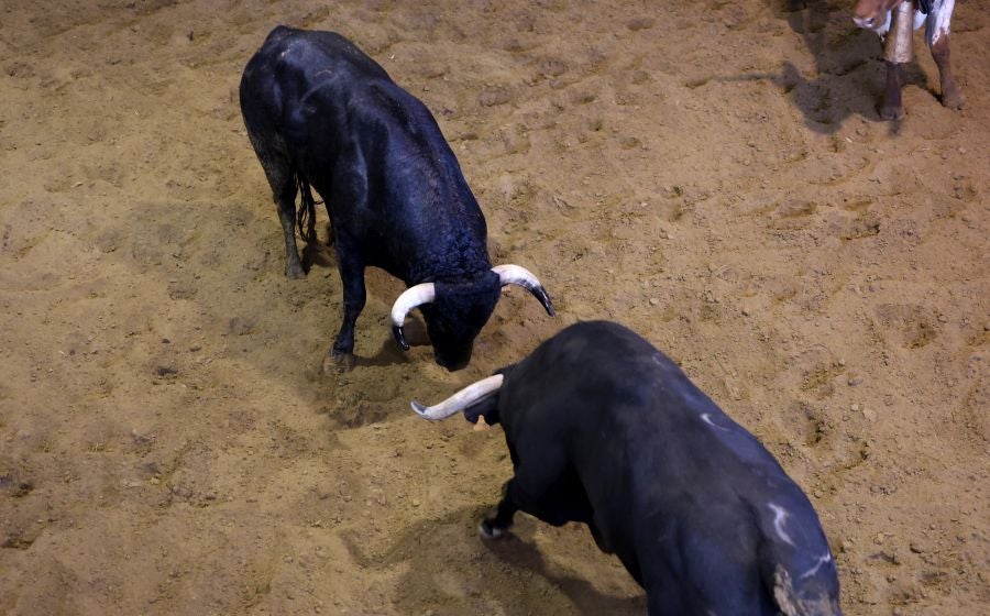 Los toros llegan a Illunbe