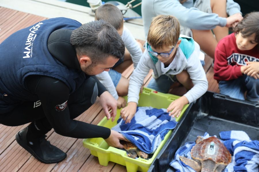 El Aquarium de San Sebastián reintroduce tres tortugas en el mar