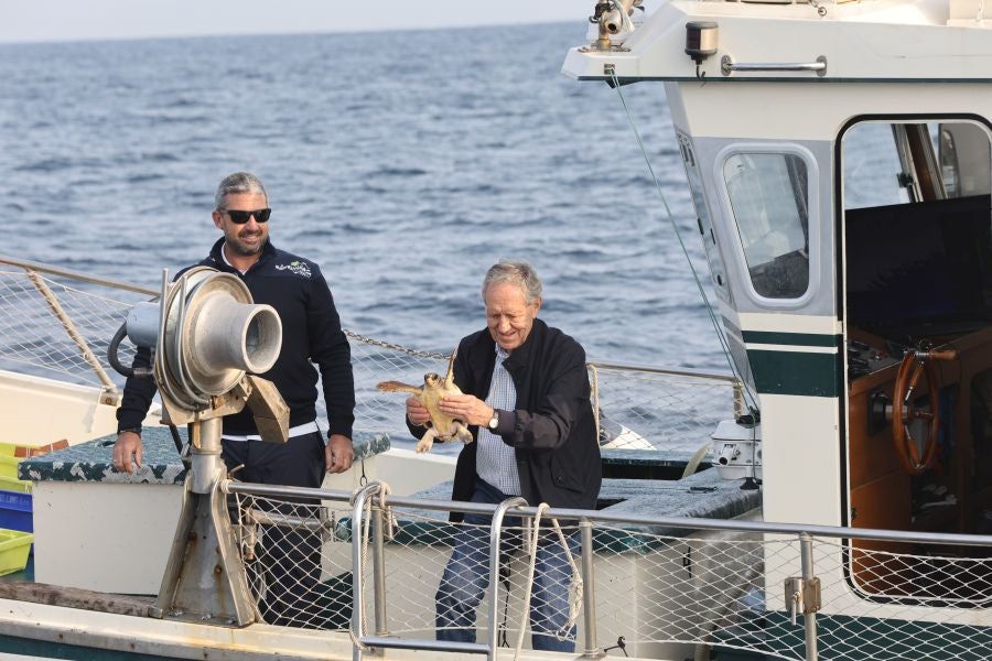 El Aquarium de San Sebastián reintroduce tres tortugas en el mar