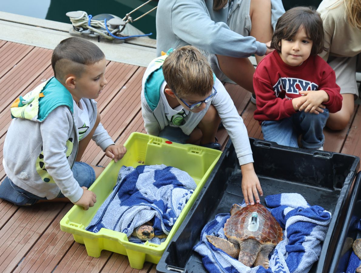 El Aquarium de San Sebastián reintroduce tres tortugas en el mar