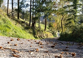 Los caminos rurales se están reparando dentro del acuerdo con la asociación Andirao.