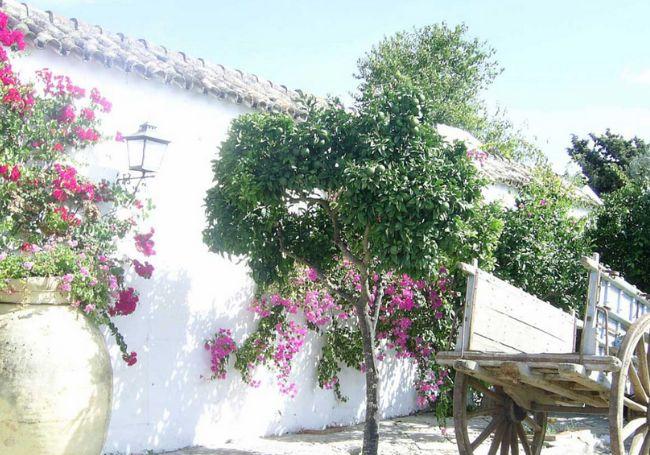 Hacienda La Peñuela, lugar en el que se iba a celebrar el banquete de la boda.