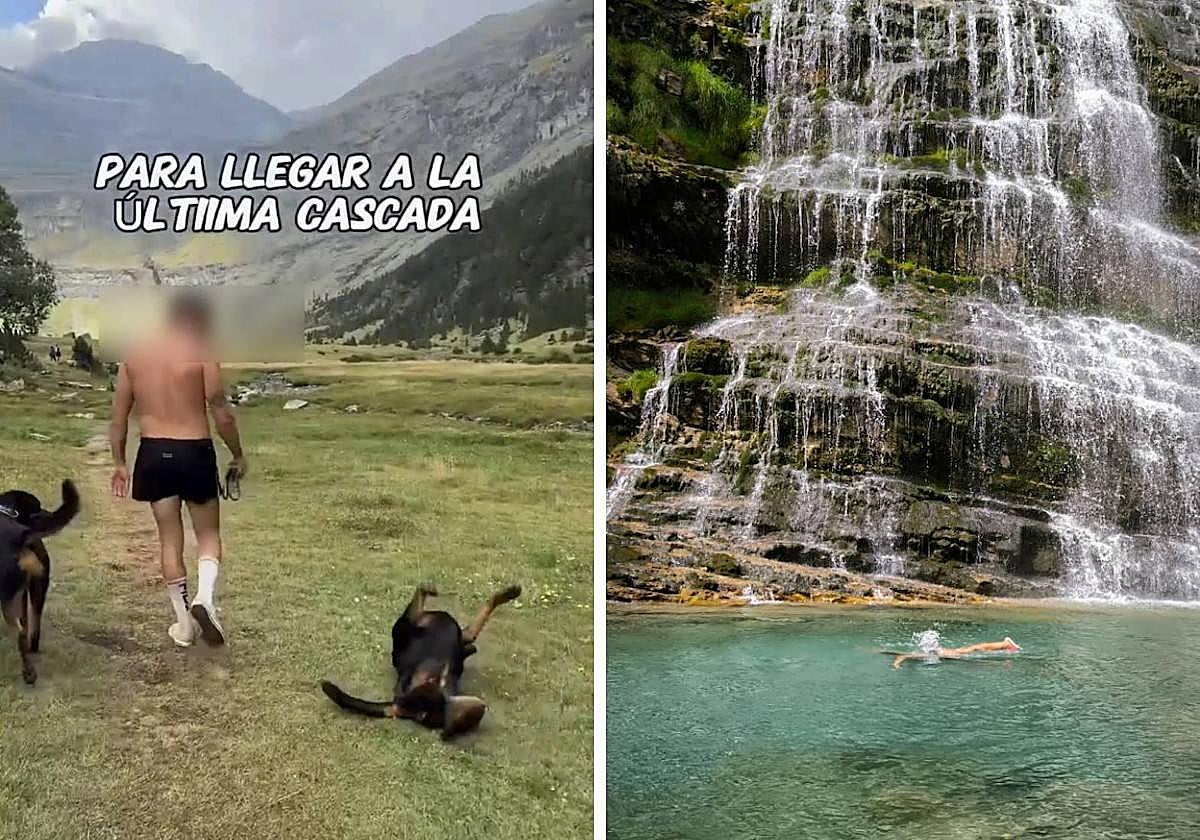 Una imagen del vídeo y de una fotografía compartidos en redes sociales.