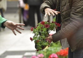 Imagen de la feria de la flor y de la planta que se celebra en primavera.