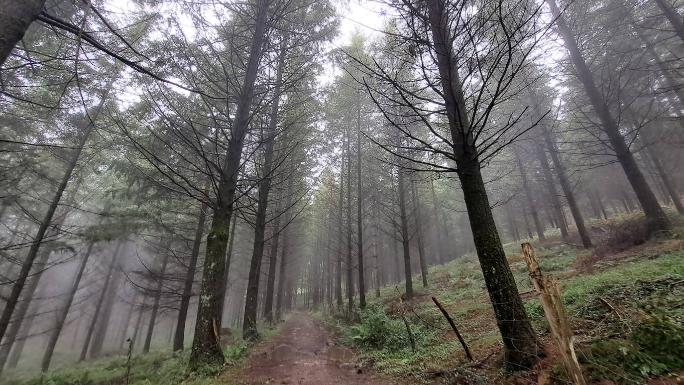 Besaide: el enclave que reúne los límites de Gipuzkoa, Bizkaia y Araba