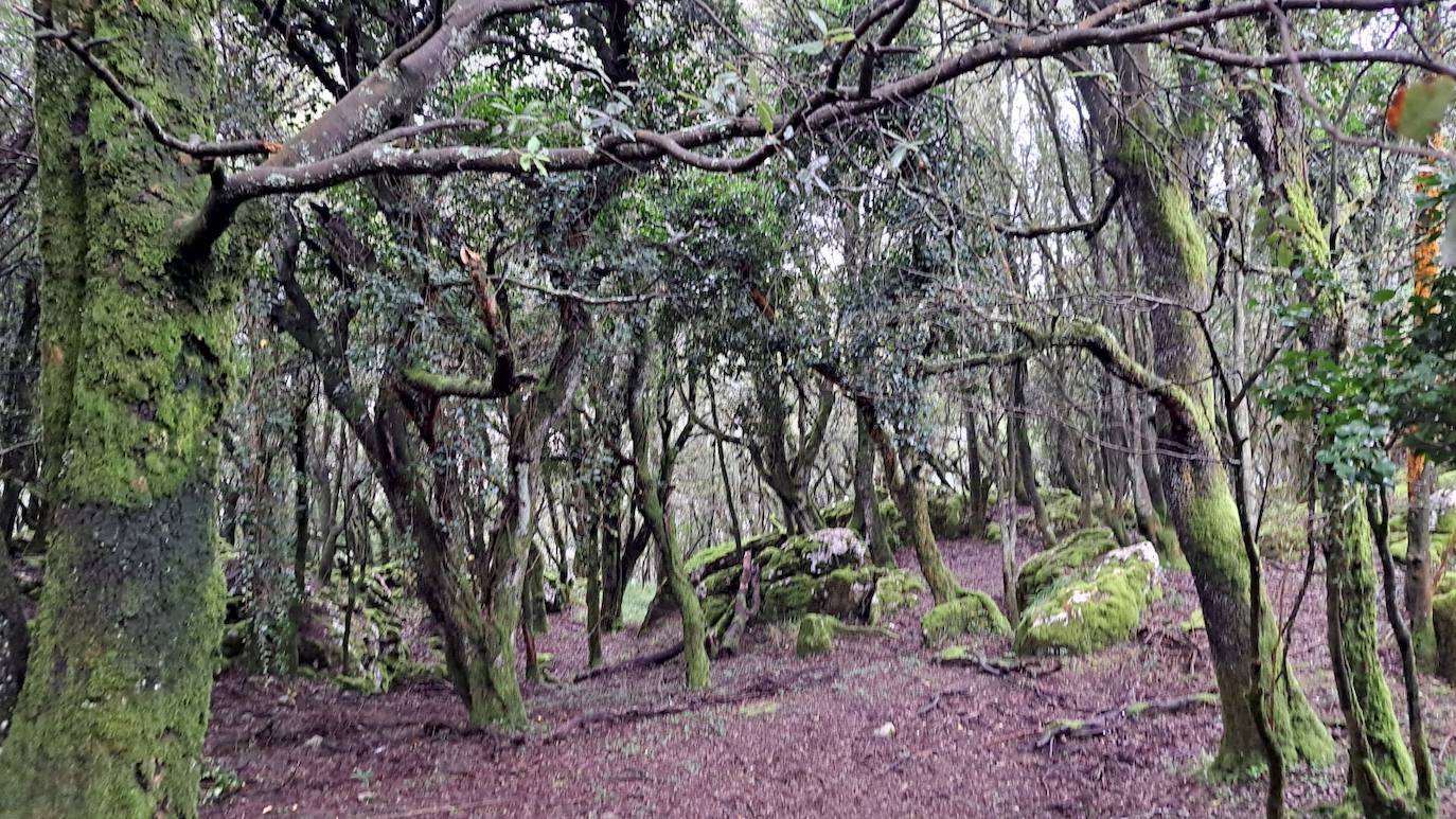 Besaide: el enclave que reúne los límites de Gipuzkoa, Bizkaia y Araba