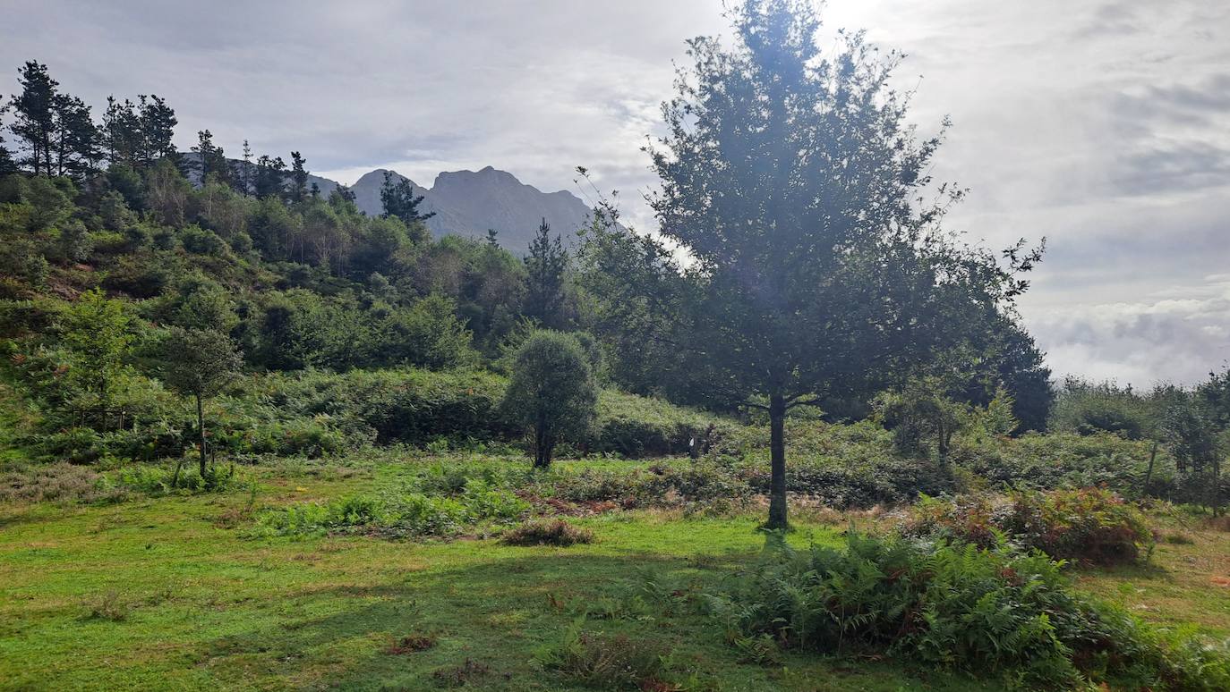 Besaide: el enclave que reúne los límites de Gipuzkoa, Bizkaia y Araba