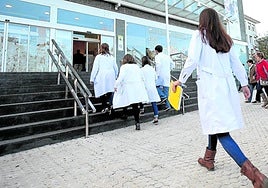 Varios médicos se disponen a subir las escaleras que dan acceso al interior del Hospital Donostia.