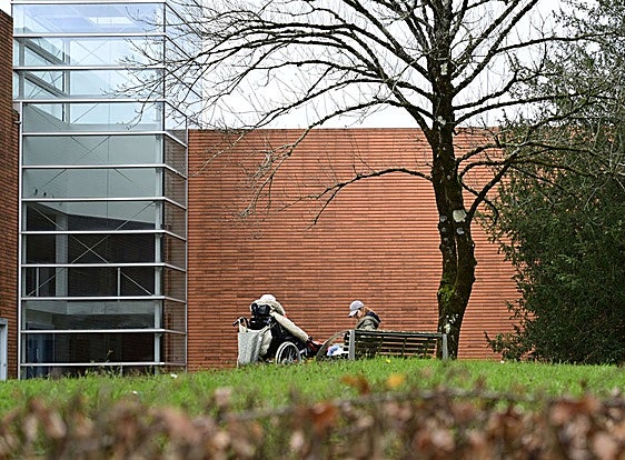 Zaintza sektorearen eta euskararen inguruko mintegi bat egingo da Donostian irailaren 26an