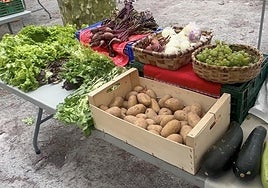 Hondarribiko Baserritar egunaren laburpen txikia