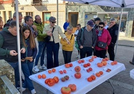 El tomate fue el producto estrella de una feria en la que reinó el buen ambiente durante toda la jornada. fotograqfías