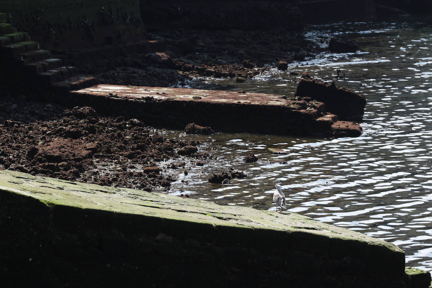 Las espectaculares imágenes de las mareas vivas en Gipuzkoa