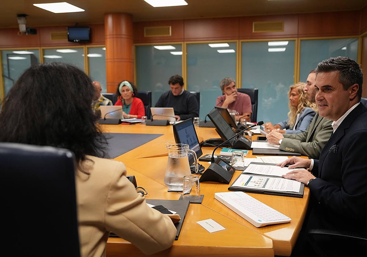 Mikel Jauregi, durante la Comisión de Industria, Transición Energética y Sostenibilidad del Parlamento Vasco.