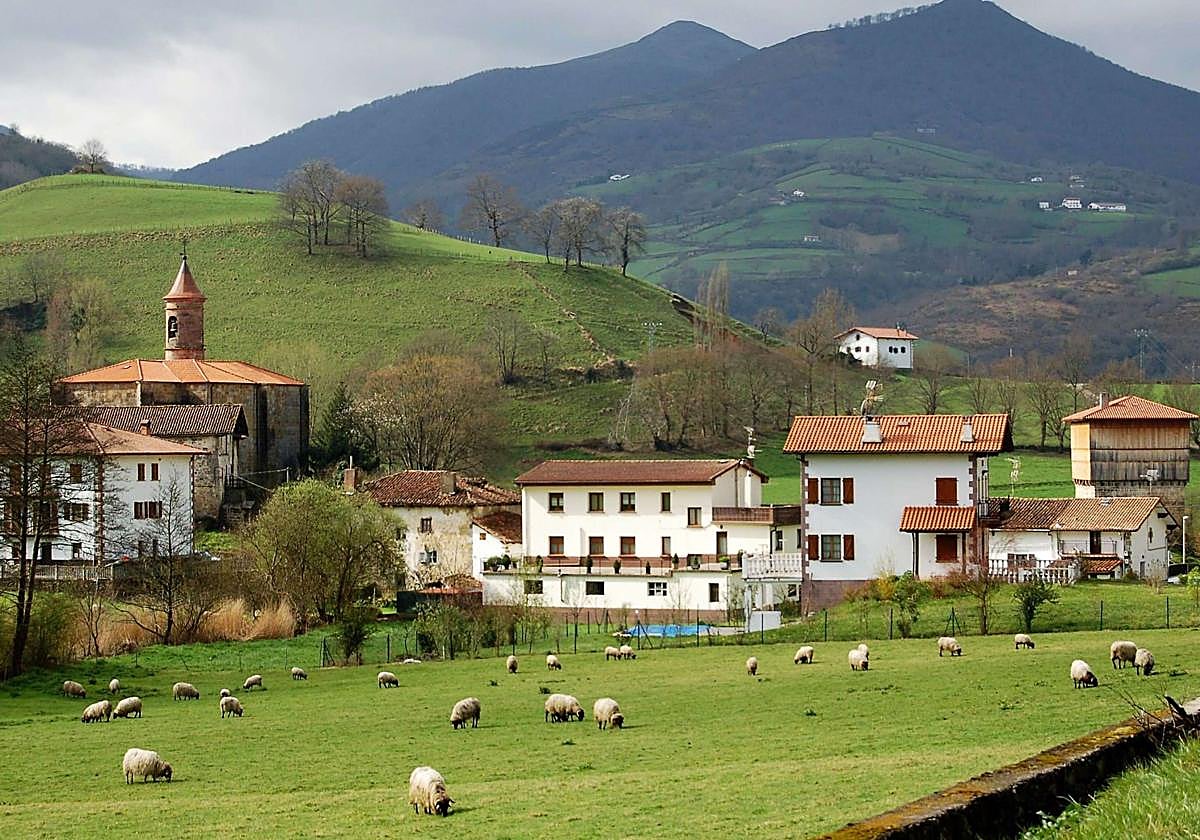 El atropello se ha producido en el termino municipal de Donamaria