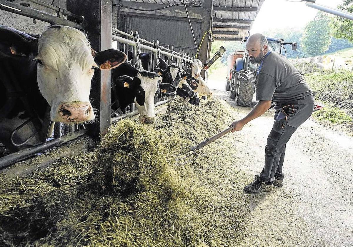 Un baserritarra de Amezketa trabaja en su explotación agroganadera.