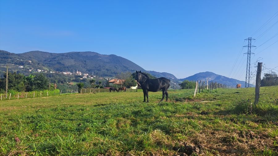 Marcha a Komizargaina por una buena causa