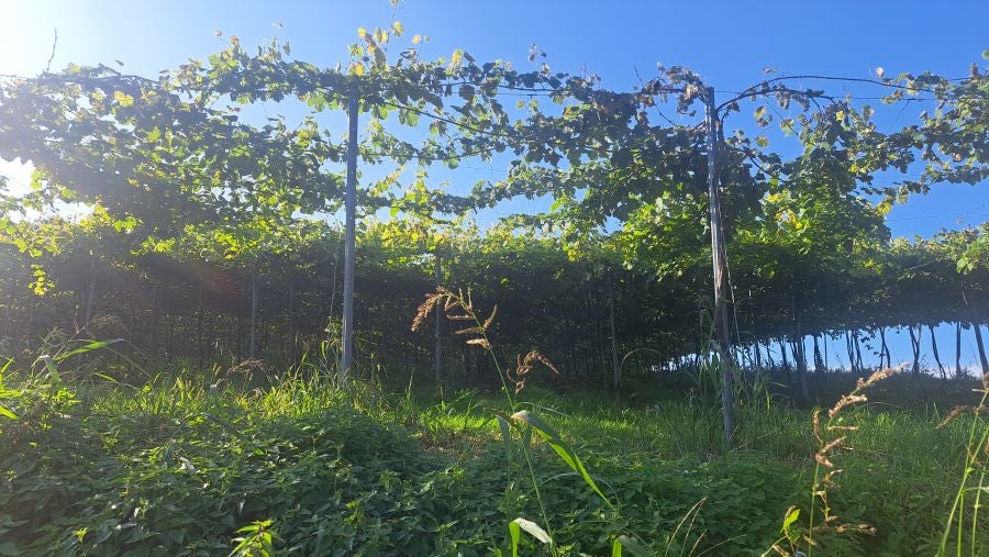 Marcha a Komizargaina por una buena causa