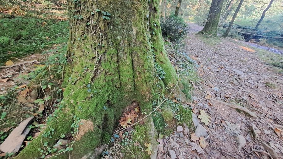 Marcha a Komizargaina por una buena causa