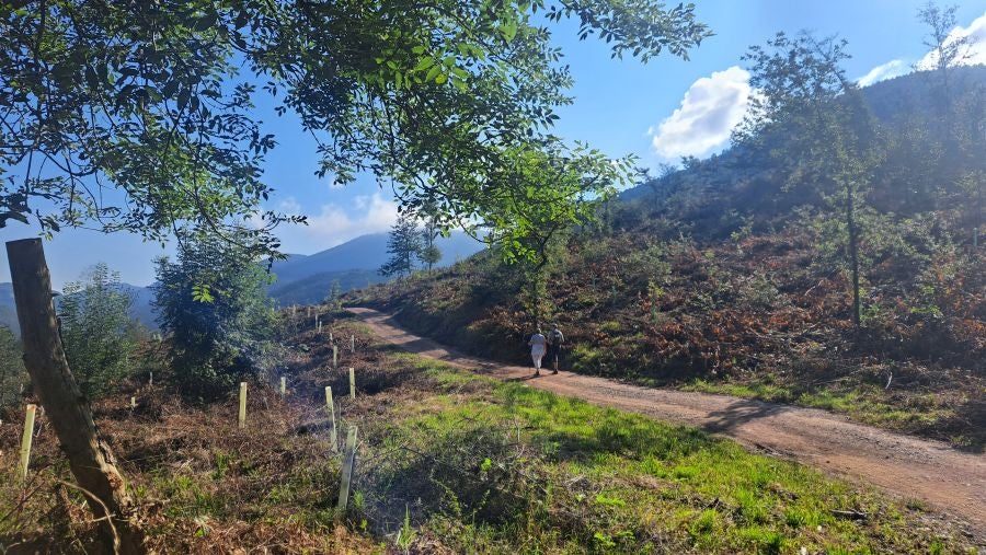 Marcha a Komizargaina por una buena causa