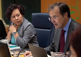 El consejero de Salud, Alberto Martínez, durante su comparecencia de este viernes.