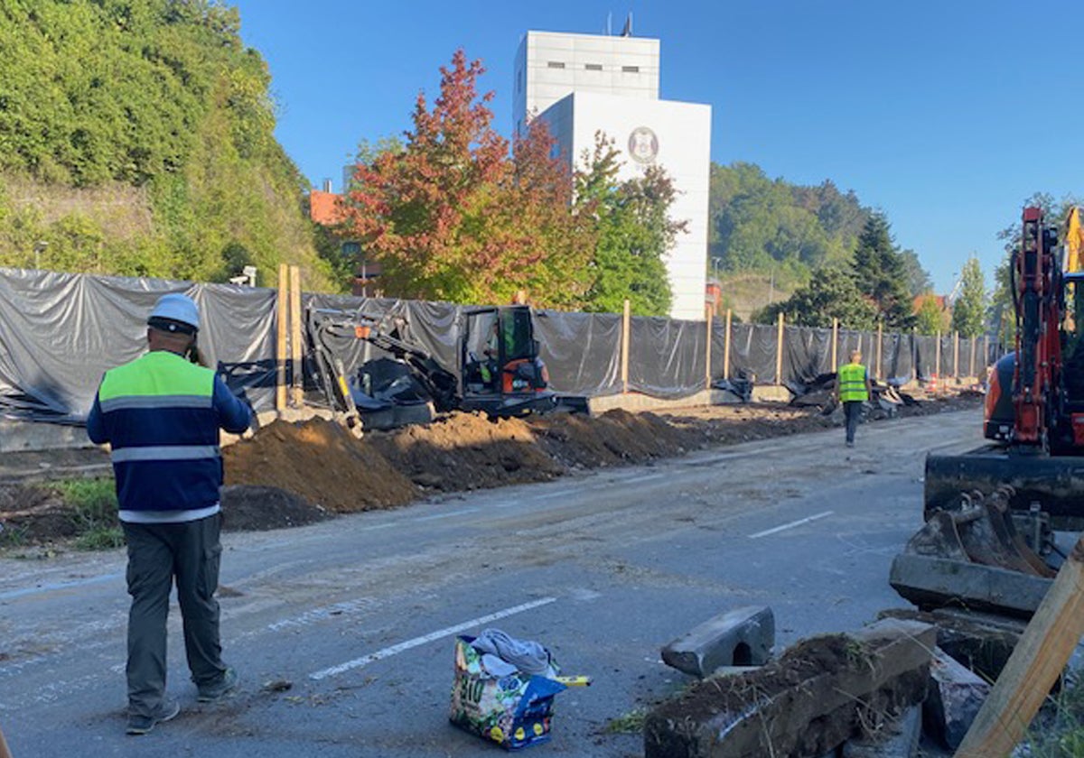 Las obras del Topo se llevan por delante los árboles del Paseo de Errondo