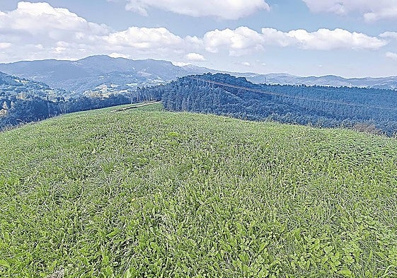 La estampa de Hernio al fondo con Gazume y otros muchos montes al lado, espectacular.