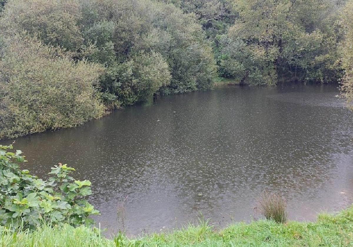 Charca. La actuación para sacar a las tortugas invasoras se llevará a cabo en el lago situado en el monte Santa Bárbara.