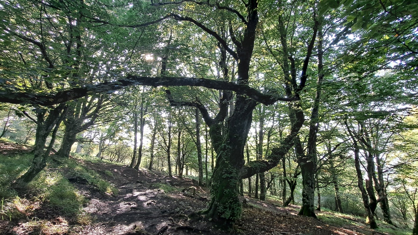Ruta a la cima de Artxueta
