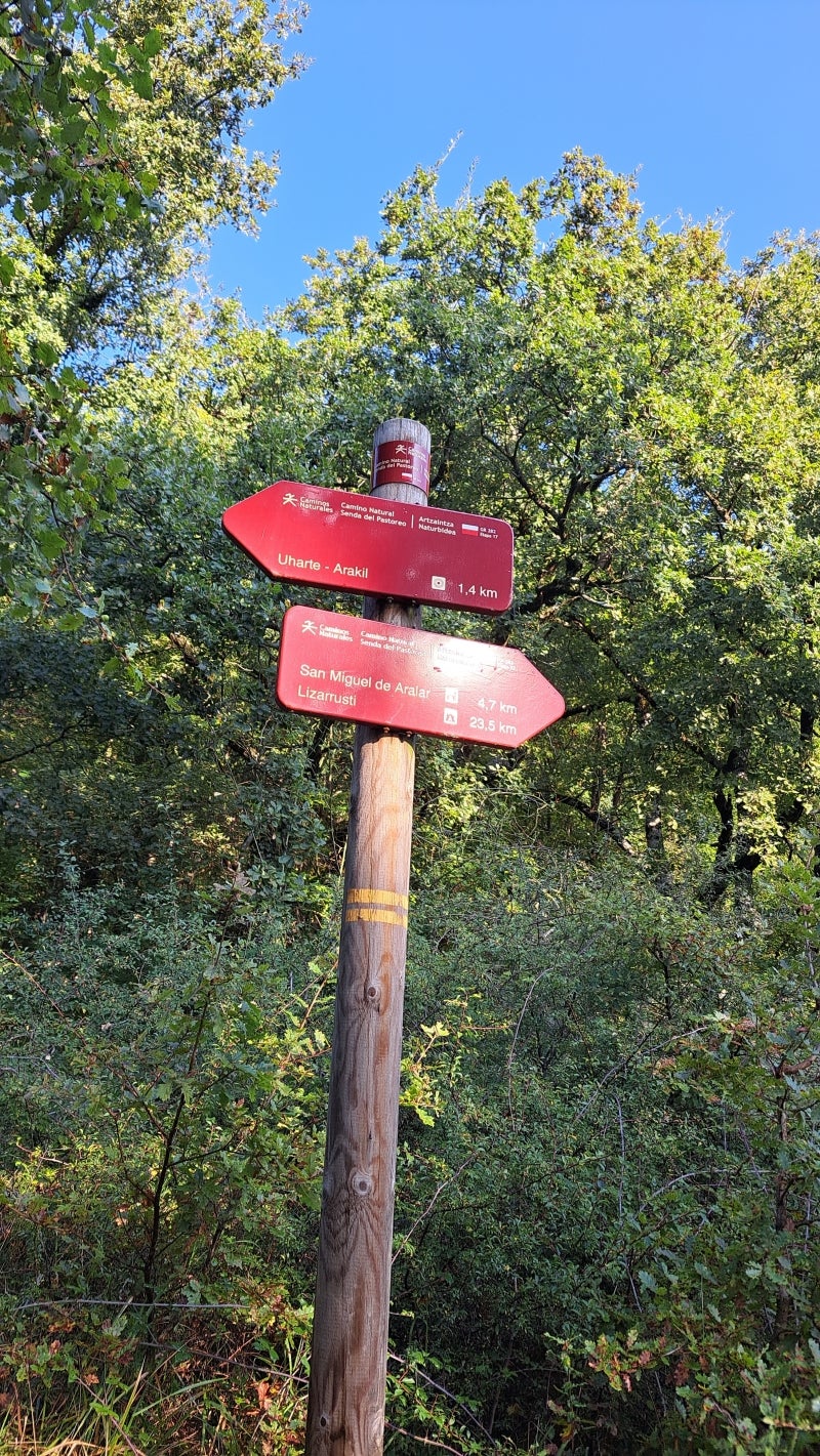 Ruta a la cima de Artxueta